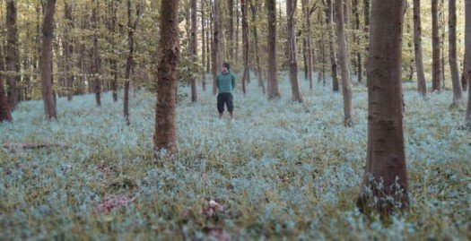 slacker woodland image